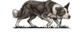 Start to Finish Dog Training